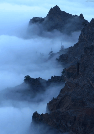 Featured image of post 为什么创建博客（Ⅰ）